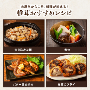 大分県産 乾燥椎茸 90g×3 乾しいたけ | 干し椎茸 干ししいたけ 乾燥しいたけ 干しシイタケ 大分県産 九州産 中津市