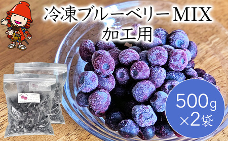 冷凍ブルーベリー MIX 加工用500g×2袋 フルーツ 果物 くだもの ラビットアイ サザンハイブッシュ 大分県産 九州産 中津市 国産