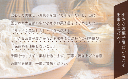 発酵バター香る リッチな生クリームスコーン 全粒粉チョコ10個セット 手作り お菓子 おやつ ギフト 焼き菓子 スイーツ 大分県産 九州産 中津市