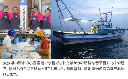 魚詰め合わせ 海の恵みセット | ベタの一夜干し 鱧の切り身 鱧のフライ 鱧のすり身入り 魚 さかな サカナ 一夜干し 切り身 きりみ 干物 ひもの 鱧 ハモ はも フライ ふらい 惣菜 すり身 すりみ 冷凍食品 中津鱧 大分鱧 九州鱧 大分県 中津市