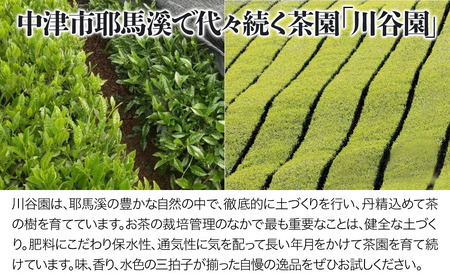 お茶の川谷園 茶聖の極上深蒸し茶 匠 たくみ ギフトセット 100g×3袋 お茶 緑茶 日本茶 上深蒸し茶 煎茶 大分県 中津市 熨斗対応