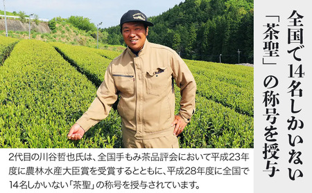 お茶の川谷園 茶聖の極上深蒸し茶 匠 たくみ ギフトセット 100g×3袋 お茶 緑茶 日本茶 上深蒸し茶 煎茶 大分県 中津市 熨斗対応