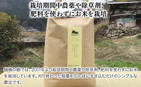 【先行予約】【令和6年産】ひのひかり(玄米) 10kg 大分県中津市耶馬溪産 栽培期間中 農薬不使用 無施肥 自然栽培 ヒノヒカリ 国産 お米 米 ご飯 白米 農家直送 大分県産 九州産 中津市