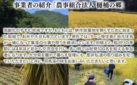 【先行予約】【令和6年産】ひのひかり(玄米) 10kg 大分県中津市耶馬溪産 栽培期間中 農薬不使用 無施肥 自然栽培 ヒノヒカリ 国産 お米 米 ご飯 白米 農家直送 大分県産 九州産 中津市