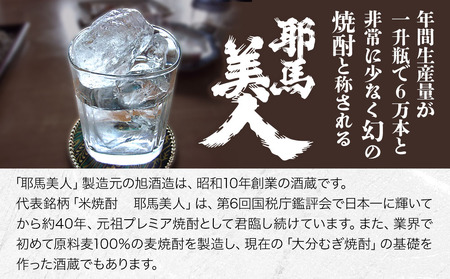 耶馬美人 禅海 米焼酎 25度 720ml×1本 大分県中津市の地酒 米焼酎 麦