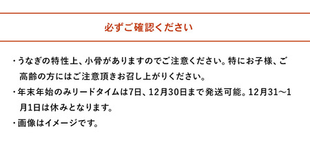 うなぎ 鰻 蒲焼 1尾 鰻ぬか炊き 1袋セット 竹乃屋 ウナギ 肉厚 直火焼き 備長炭 秘伝のタレ 大分県産 九州産 中津市 国産 ／熨斗対応可 お歳暮 お中元 など