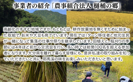 【数量限定】桐箱入り紅白生あま酒 甘酒 あまざけ 麹 米麹 米 砂糖不使用 腸活 菌活 美活 発酵食品 高級 ギフト 贈り物 プレゼント お守り付き 年末年始 大分県産 九州産 中津市／熨斗対応可