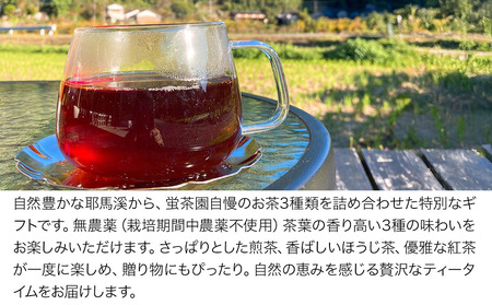 耶馬溪の茶三種(煎茶・ほうじ茶・紅茶)  蛍茶園 春摘紅茶 ほうじ茶 煎茶 農薬不使用 ギフト プレゼント 大分県産 九州産 中津市 熨斗対応