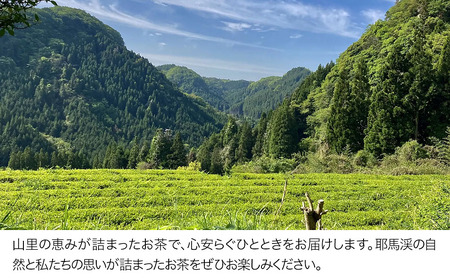 耶馬溪の茶三種(煎茶・ほうじ茶・紅茶)  蛍茶園 春摘紅茶 ほうじ茶 煎茶 農薬不使用 ギフト プレゼント 大分県産 九州産 中津市 熨斗対応