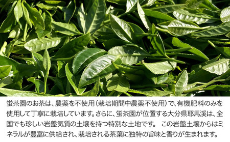 耶馬溪の茶三種(煎茶・ほうじ茶・紅茶)  蛍茶園 春摘紅茶 ほうじ茶 煎茶 農薬不使用 ギフト プレゼント 大分県産 九州産 中津市 熨斗対応