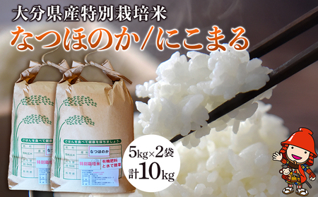 令和6年産 特別栽培米 なつほのか にこまる 5kg×2袋 計10kg 宗像農園 大分県中津市三光産 栽培期間中 農薬不使用 精米 玄米 選べる 国産 お米 米 ご飯 白米 農家直送 大分県産 九州産 中津市