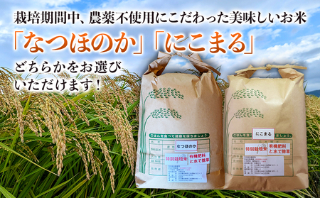 令和6年産 特別栽培米 なつほのか にこまる 5kg×2袋 計10kg 宗像農園 大分県中津市三光産 栽培期間中 農薬不使用 精米 玄米 選べる 国産 お米 米 ご飯 白米 農家直送 大分県産 九州産 中津市