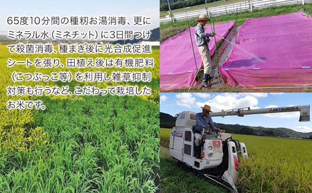 令和6年産 特別栽培米 なつほのか にこまる 5kg×2袋 計10kg 宗像農園 大分県中津市三光産 栽培期間中 農薬不使用 精米 玄米 選べる 国産 お米 米 ご飯 白米 農家直送 大分県産 九州産 中津市