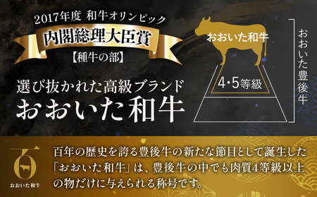 おおいた和牛 モモサイコロステーキ 500g | お肉 肉 おにく にく 牛 牛肉 和牛 国産牛 豊後牛 モモ肉 サイコロステーキ ステーキ ブランド牛 焼肉 焼き肉 ステーキ肉 炒め物 赤身肉 冷凍 国産 大分県産 九州産 大分県 中津市