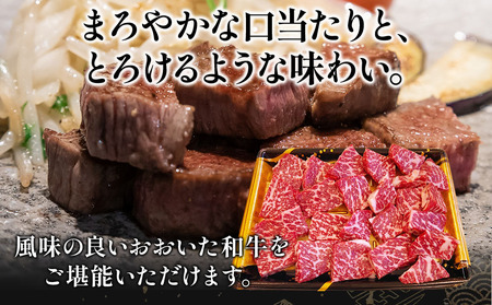 おおいた和牛 モモサイコロステーキ 500g | お肉 肉 おにく にく 牛 牛肉 和牛 国産牛 豊後牛 モモ肉 サイコロステーキ ステーキ ブランド牛 焼肉 焼き肉 ステーキ肉 炒め物 赤身肉 冷凍 国産 大分県産 九州産 大分県 中津市