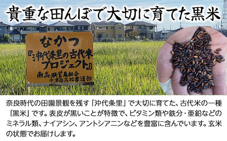 なかつ 沖代条里の古代米 (黒米) 300g×2袋 | 雑穀 雑穀米 古代米 紫黒米 黒米 国産 お米 米 こめ 玄米 ご飯 健康志向 大分県産 九州産 国産 大分県 中津市
