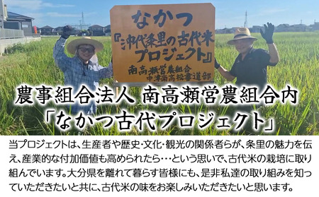 なかつ 沖代条里の古代米 (黒米) 300g×2袋 | 雑穀 雑穀米 古代米 紫黒米 黒米 国産 お米 米 こめ 玄米 ご飯 健康志向 大分県産 九州産 国産 大分県 中津市