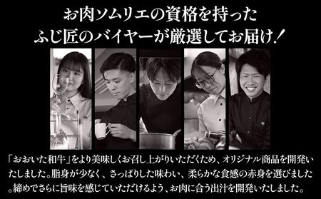 おおいた和牛の牛まぶし 80g×4p 合計約320g タレ・出汁付き | お肉 肉 牛 牛肉 もも肉 ステーキ ステーキ丼 豊後牛 ブランド牛 国産牛 おかず 牛まぶし 冷凍 大分県産 九州産 国産 大分県 中津市