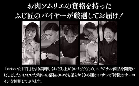 おおいた和牛のサイコロステーキ 150g×2 合計約300g 肉専用 にんにく塩付き | お肉 肉 牛肉 サーロイン ステーキ サイコロステーキ ステーキ丼 豊後牛 ブランド牛 国産牛 おかず バーベキュー 冷凍 大分県産 九州産 国産 大分県 中津市