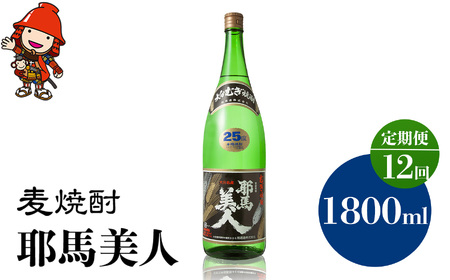 【定期便12回】 麦焼酎 耶馬美人 25度 1,800ml×1本 | 大分県中津市の地酒 地酒 麦 焼酎 酒 アルコール 大分県産 九州産 定期 定期便 大分県 中津市