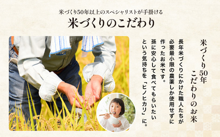 ゆうちゃんファームのお米 10kg ヒノヒカリ | 新米 減農薬栽培 精米直送 令和7年新米 大分県産 中津 和食 朝ごはん お米 米 おこめ こめ 精米 白米 九州産 国産 国産米 ひのひかり 大分県 中津市