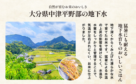 ゆうちゃんファームのお米 2kg ヒノヒカリ | 新米 減農薬栽培 精米直送 令和7年新米 大分県産 中津 和食 朝ごはん お米 米 おこめ こめ 精米 白米 九州産 国産 国産米 ひのひかり 大分県 中津市