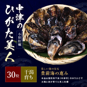 【期間限定】ひがた美人 (牡蠣 30粒) 堪能セット | 養殖 冷蔵 かき オイスター 酒の肴 つまみ おかず 大分県産 九州産 国産 大分県 中津市