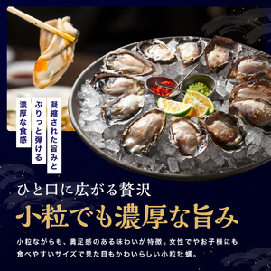 【期間限定】ひがた美人 (牡蠣 30粒) 堪能セット | 養殖 冷蔵 かき オイスター 酒の肴 つまみ おかず 大分県産 九州産 国産 大分県 中津市