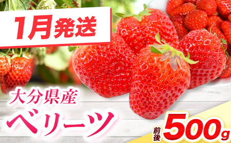 ベリーツ 250g前後 × 2パック ( 1月発送 ) | いちご ベリー フルーツ 果物 大分県 中津市