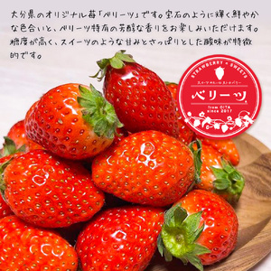 ベリーツ 250g前後 × 2パック ( 2月以降発送 ) | いちご ベリー フルーツ 果物 大分県 中津市