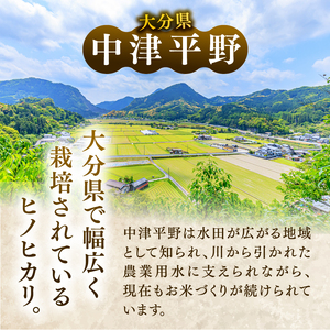 【令和7年産】大分県産 ヒノヒカリ 白米 20kg ( 5kg × 4袋 ) | お米 精米 単一米 大分県 中津市