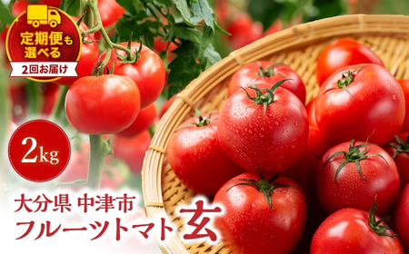【定期便2回】フルーツトマト「玄」2kg | ミニトマト プチトマト フルティカ ミディトマト 国産 野菜 大分県 中津市