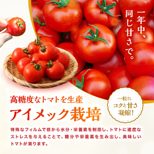 【定期便2回】フルーツトマト「玄」2kg | ミニトマト プチトマト フルティカ ミディトマト 国産 野菜 大分県 中津市
