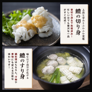 中津名物鱧づくしセット | 魚 さかな サカナ 鱧 ハモ はも 切り身 すり身だんご フライ かぼすポン酢 セット 大分県 中津市