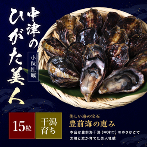 【期間限定】中津ひがた美人 (牡蠣 15粒) 養殖 | 冷蔵 かき オイスター 酒の肴 つまみ おかず 大分県産 九州産 国産 大分県 中津市