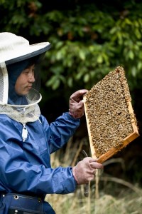 耶馬渓産の天然はちみつ 季節の天然はちみつ230g×3 | 大分県中津市