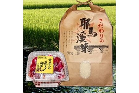 耶馬渓米と昔ながらの梅干しセット お米 5kg ヒノヒカリ ひとめぼれのいずれか 手作り梅干し1kg