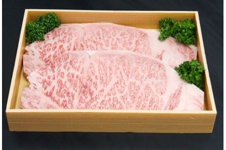 おおいた和牛サーロインステーキ 240g×2枚(合計480g) ステーキ肉 牛肉 豊後牛 焼肉 焼き肉 赤身肉 大分県産 中津市