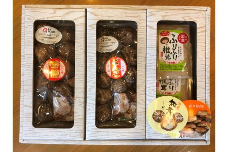 大分産椎茸3種食べくらべセットC（どんこ･香信･焼きパウダー）乾燥椎茸 干し椎茸 乾し 原木椎茸 しいたけ シイタケ 大分県産 中津市 九州産野菜