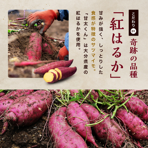 さつまいも 甘太くん 約 5kg　《br0003》