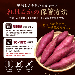 さつまいも 甘太くん 約 5kg　《br0003》