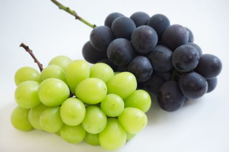 【先行予約】宮内果樹観光園のシャインマスカットとニュー巨峰 約2kg | フルーツ 果物 ぶどう ぶどう ブドウ ぶどう シャインマスカット マスカット 巨峰 ぶどう ぶどう 巨峰 国産 大分県 中津市