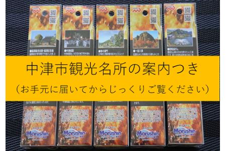 【Dragonシリーズ】中津市限定スペシャルジグセット　40g×5個　限定カラー　数量限定