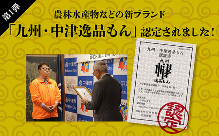 【特別パッケージ】ひがた美人 牡蠣のオリーブオイル漬け125g×2瓶 | 大分県中津産 カキ 牡蠣使用 国産牡蠣 海鮮 海 オリーブオイル おつまみ おかず 肴 瓶詰め 缶つま 大分県 中津市