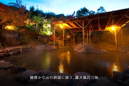 八面山金色温泉ご入浴回数券12枚綴り1セット 日帰り温泉 大浴場 露天