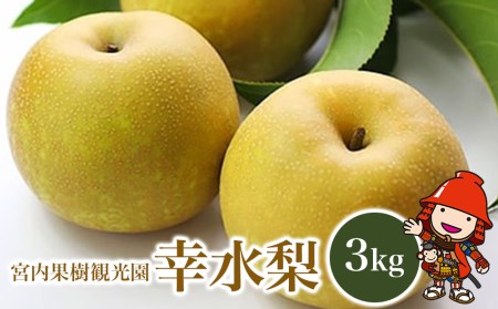 【先行予約】【数量限定】宮内果樹観光園の幸水梨 約3kg | フルーツ 果物 くだもの 梨 なし ナシ 幸水 幸水梨 産地直送 国産 大分県 中津市