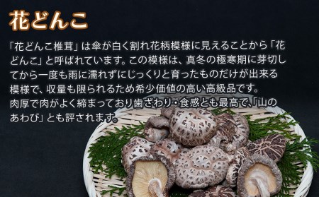 大分県産 原木 乾燥椎茸 食べ比べセットG どんこ80g 花どんこ100g スライス60g 乾燥椎茸 乾燥 原木 干し椎茸 しいたけ 大分 中津市産 九州産野菜 産地直送