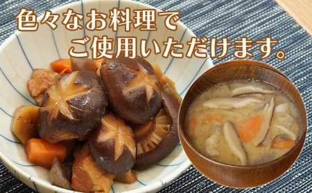 大分県産 原木椎茸2種食べ比べセットB(どんこ・スライス) 乾燥椎茸 干し椎茸 乾し 原木椎茸 しいたけ シイタケ 大分県産 中津市 九州産野菜