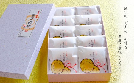 【老舗和菓子店 武蔵屋総本店】 豊の味鼓(生菓子)10個セット 化粧箱入り | お菓子 菓子 おかし 和菓子 生菓子 詰め合わせ 最中 もなか スイーツ あんこ こしあん 小豆 化粧箱 贈答 ギフト プレゼント 大分県 中津市