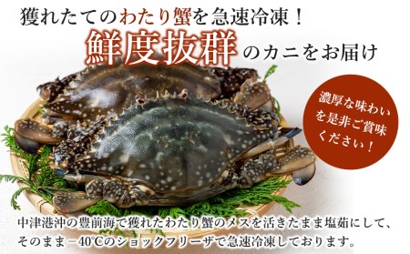 期間限定 豊前海わたり蟹 大型 メス 400g 499g 2杯 活きたまま塩茹 急速冷凍 カニ ワタリガニ 渡り蟹 熨斗対応可 大分県中津市 ふるさと納税サイト ふるなび